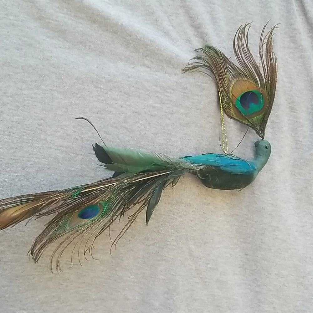 Peacock Figurine With Real Feathers Boho Glam Add On Gift Decor Boho Cottage New